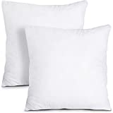 Utopia Bedding Throw Pillows Insert (Pack of 2, White) - 22 x 22 Inches Bed and Couch Pillows - Indoor Decorative Pillows