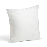 Foamily Throw Pillows Insert 22 x 22 Inches - Bed and Couch Decorative Pillow - Made in USA - Bed and Couch Sham Filler