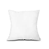 Edow Throw Pillow Insert, Lightweight Soft Polyester Down Alternative Decorative Pillow, Sham Stuffer, Machine Washable. (White, 22x22)