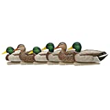 AVIAN-X Topflight Open Water Duck Durable Realistic Hunting Floating Mallard Decoys, Pack of 6, AVX8060