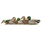 Avian-X Topflight Fusion Mallards Durable Ultra Realistic Floating Hunting Duck Decoys, Pack of 6, AVX8076