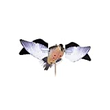 Avian-X PowerFlight Dove Decoy | Spinning Wing Dove Decoy, Realistic, One Size