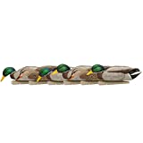 Avian-X Topflight Backwater Mallards Durable Ultra Realistic Floating Hunting Decoys, Pack of 6, AVX8070