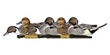 Avian-X Topflight Pintails Durable Ultra Realistic Floating Hunting Duck Decoys, Pack of 6, AVX8082