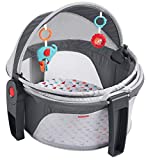 Fisher-Price On-the-Go Baby Dome Arrows Away, travel portable play space with canopy and toys [Amazon Exclusive]