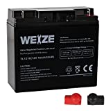 Weize 12V 18AH Battery Sealed Lead Acid Rechargeable SLA AGM Batteries Replaces UB12180 FM12180 6fm18, Universal