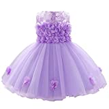 Baby Flower Girl Dresses Infant Toddler Kid 1st 2nd Birthday Party Dress Lace Flower Embroidered Pageant Wedding Bridesmaid Evening Summer Sleeveless Princess Tutu Tulle Gown Light Purple 18-24M