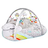Skip Hop Baby Play Gym, Silver Lining Cloud, Grey
