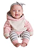 Baby Boys Girls Clothes Long Sleeve Hoodie Tops Sweatsuit Long Pants Outfit Set (Pink,Size 6-12 Months(80))