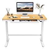 FLEXISPOT EW8 Comhar Electric Standing Desk with Drawers Charging USB Port, Height Adjustable 48' Whole-Piece Quick Install Home Office Computer Laptop Table with Storage (Maple Top + White Frame)