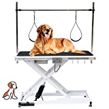 Heavy Duty Electric Lifting Pet Dog Grooming Table for Large Dogs with Overhead Arm, Anti-Skid Rubber Desktop and Powerful Motor, 50''/Black