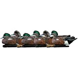 Avian-X Topflight Wigeon Durable Ultra Realistic Floating Hunting Duck Decoys, Pack of 6, AVX8084