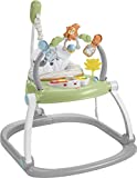 Fisher-Price Jumperoo Baby Bouncer and Activity Center with Lights and Sounds, Sweet Snugapuppy SpaceSaver