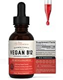 Live Conscious Vegan Vitamin B12 Sublingual Liquid Drops by LiveWell - Methylcobalamin Maximum Strength 5000 mcg Formula - Support Energy and Mood, Promote Memory, Aid Immune System - 60 Servings