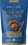 Earth Echo: Cacao Bliss - Organic Chocolate Powder Mix with Cinnamon, Turmeric, MCT Oil and Lucuma for Hot Cocoa, Smoothies and More - 30 Servings - Daily Health and Energy Superfood Support