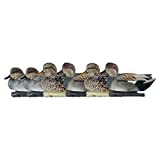 Avian-X Topflight Gadwall Durable Ultra Realistic Floating Hunting Duck Decoys, Pack of 6, AVX8085