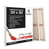 Academy Art Supply Stretched Canvases Pack of 6 (20x30)