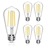 LANGREE Vintage LED Edison Bulb, 6W, Equivalent 60W, Daylight White 4000k, Non-Dimmable Led Filament Light Bulb, E26 Base, High CRI 95+ Led Bulb, Clear Glass for Kitchen Dining Room, Pack of 5