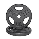 WF Athletic Supply Cast Iron 1-Inch Standard Grip Plate for Strength Training, Muscle Toning, Weight Loss & Crossfit - Multiple Choices Available