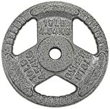 Sporzon! Cast Iron 1-Inch Grip Plate Weight Plate for Strength Training, Weightlifting and Crossfit, Single, gray