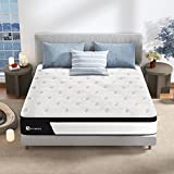 Queen Mattress, Avenco Hybrid Mattress Queen Size, 12 Inch Pocket Spring and Gel Memory Foam Mattress Queen in a Box, Medium Firm, Strong Edge Support, CertiPUR-US & ISPA, 100 Nights Trial
