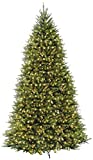 National Tree Company Pre-Lit Artificial Full Christmas Tree, Green, Dunhill Fir, Dual Color LED Lights, Includes PowerConnect and Stand, 12 Feet