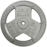 HulkFit 1-inch Iron Plate for Strength Training, Weightlifting and Crossfit, Single (45 Pounds), Silver