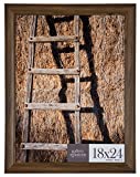 Gallery Solutions 16FP2210 18x24 Large Wall Hanging Picture Poster Frame, 18' x 24', Walnut