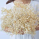 Dried-Flowers-Babys-Breath-Bouquet-17.2 inch 2000+ Ivory White Flowers, Natural Gypsophila Branches for Home Decor, Wedding, Table Decor, DIY Wreath Floral, Dry Flowers Bulk for Vase