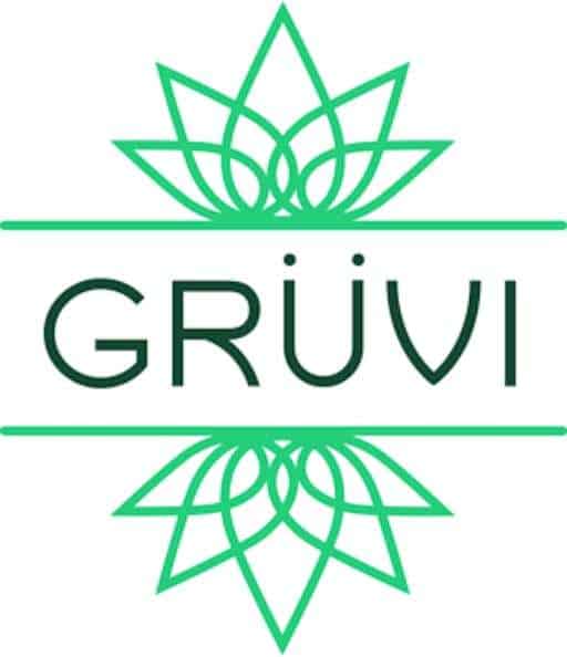 Non-Alcoholic Breweries - Gruvi Logo